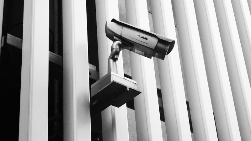 Покупка семян конопли наложенным платежом