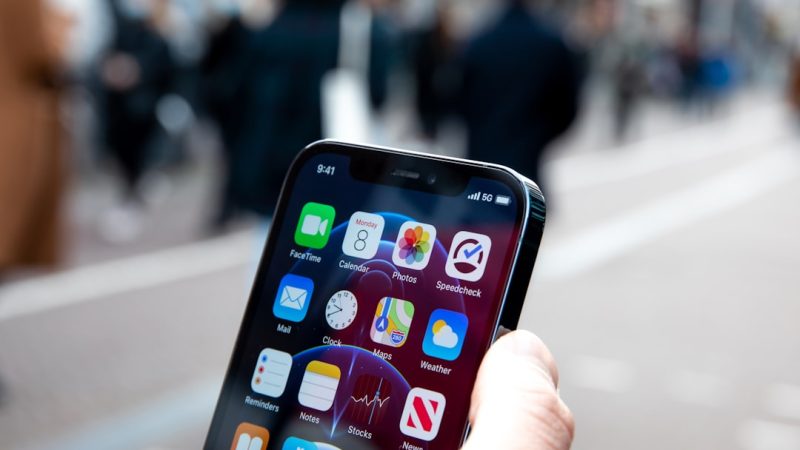 Семена марихуаны и их культивирование