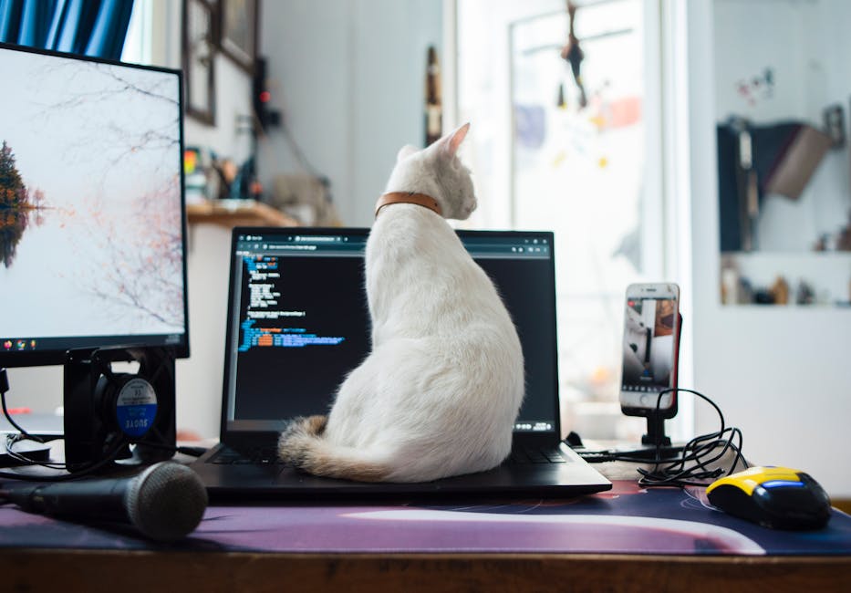 Семена конопли Афганка: особенности культивирования и преимущества сорта