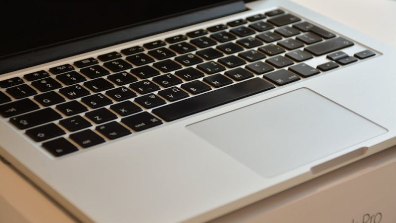 Семена Конопли Свойства Применение и Как Купить