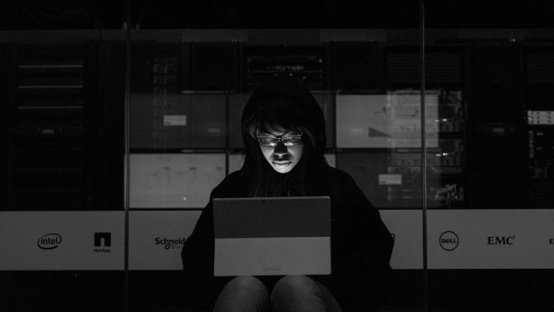 Марихуана на Украине: законодательство, доступность и перспективы легализации