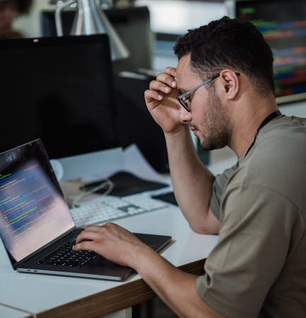 Семена конопли в Новосибирске: свойства, выбор и покупка