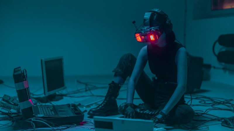 Семена конопли Афганка свойства и параметры сорта и цена