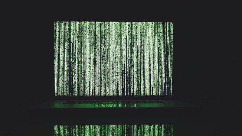 Купить семена конопли онлайн в России с доставкой