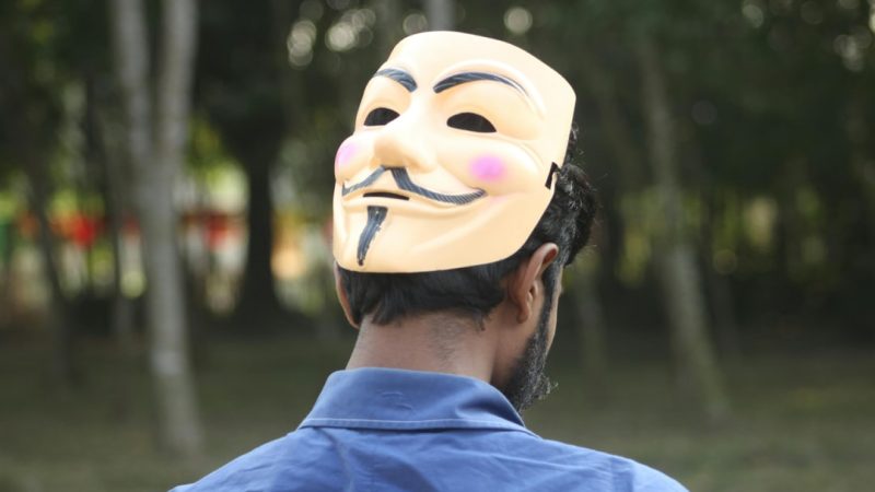 Семена конопли в Костроме: свойства и преимущества использования