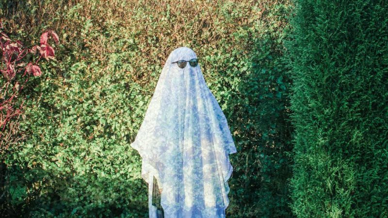 Конопля в России и Воронеже история свойства и применение