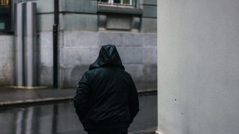 Купить семена конопли для открытого грунта высокого качества