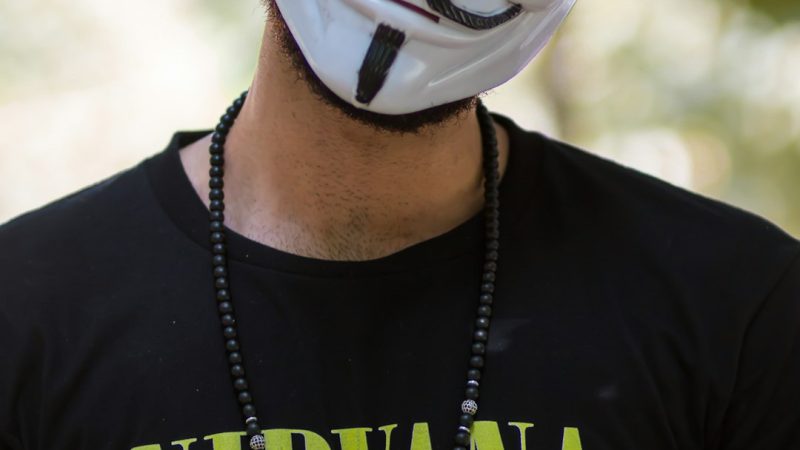 Покупка конопли онлайн и другие продукты связанные с коноплей