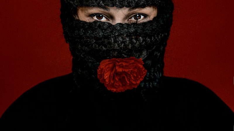 Купить семена конопли в Москве и России