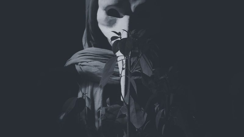 Легальная конопля и семена для промышленного выращивания